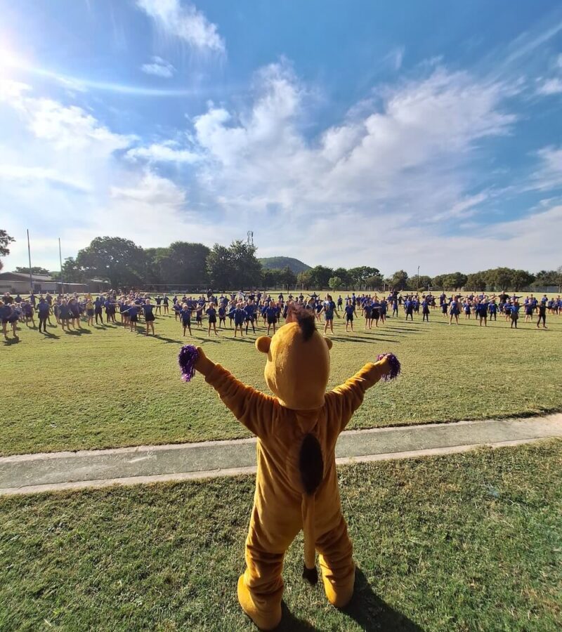 004 home content 004 home content